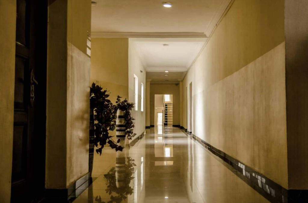 Polished hotel corridor with warm lighting and plants